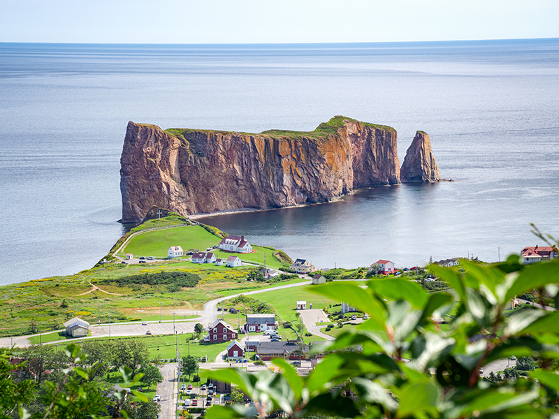 Gaspe Thumb