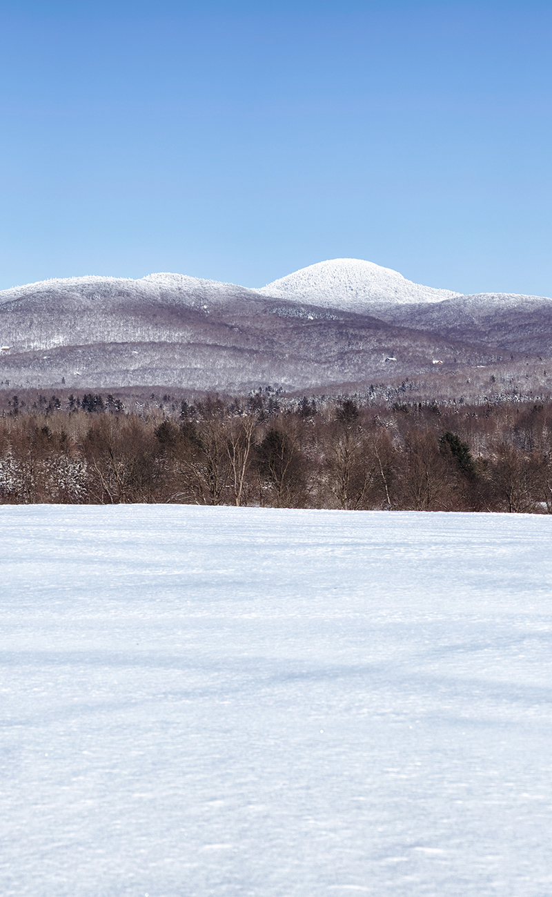 Estrie Vertical